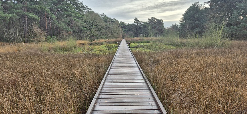 knopenrondje-nieuw-bergen-6 Wandeling over Knopenrondje Nieuw-Bergen