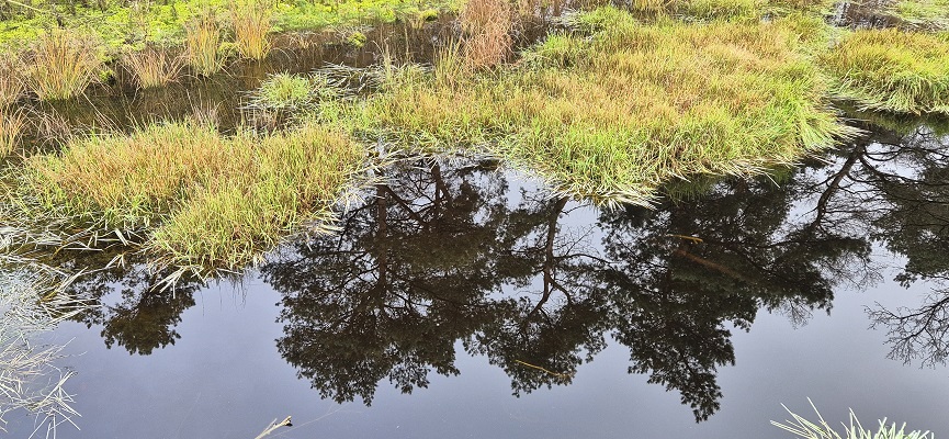 knopenrondje-nieuw-bergen-7 Wandeling over Knopenrondje Nieuw-Bergen