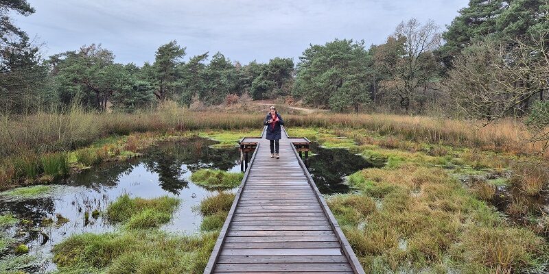 Wandeling over Knopenrondje Nieuw-Bergen