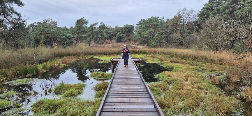 knopenrondje-nieuw-bergen-9 Wandeling over Knopenrondje Nieuw-Bergen