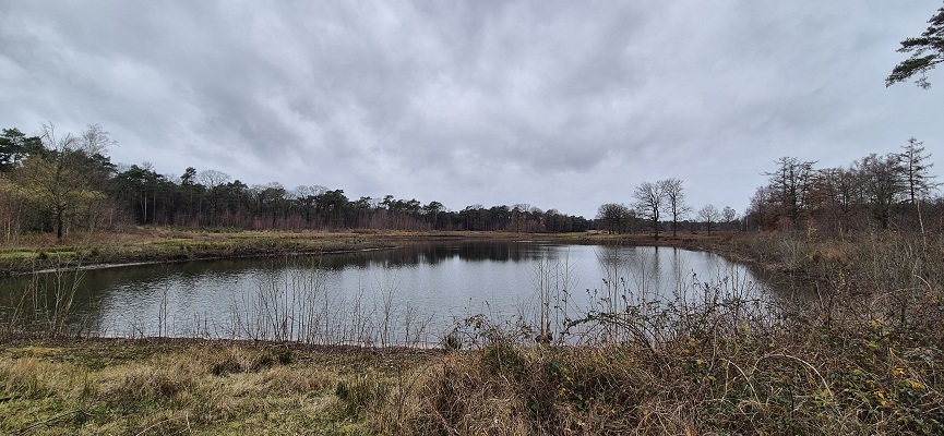 Wandeling over Trage Tocht Dorst bij leemputten in Boswachterij Dorst