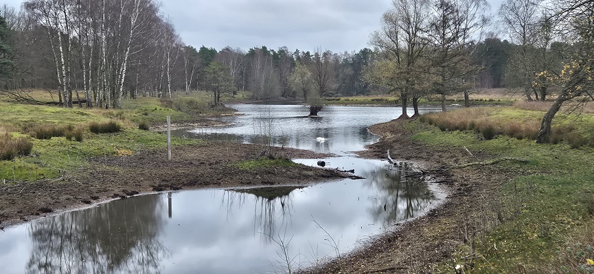 trage-tocht-dorst-21 Wandeling over Trage Tocht Dorst bij leemputten in Boswachterij Dorst