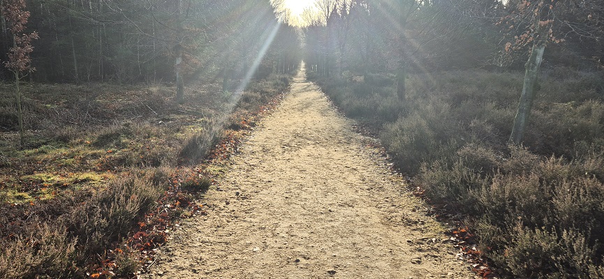 Wandeling over Trage Tocht Elst