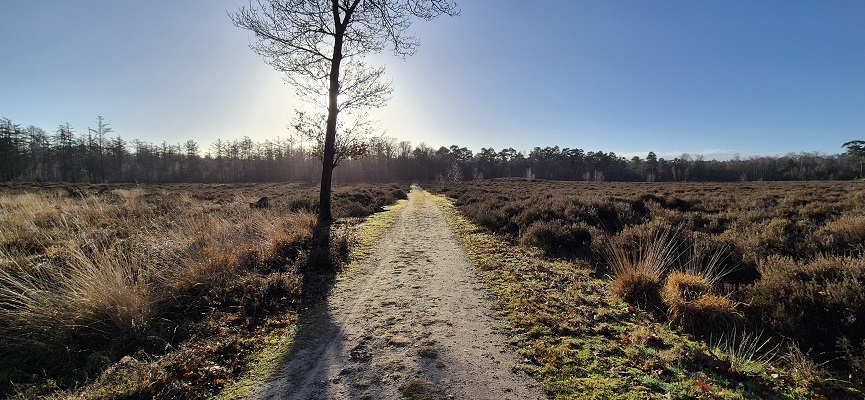 Wandeling over Trage Tocht Elst bij de Elsterberg