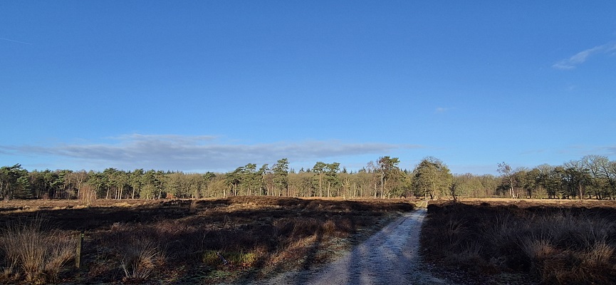 Wandeling over Trage Tocht Elst bij de Elsterberg