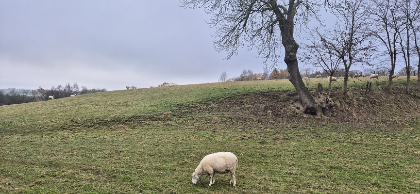 trage-tocht-geleen-17 Wandeling over Trage Toch Geleen