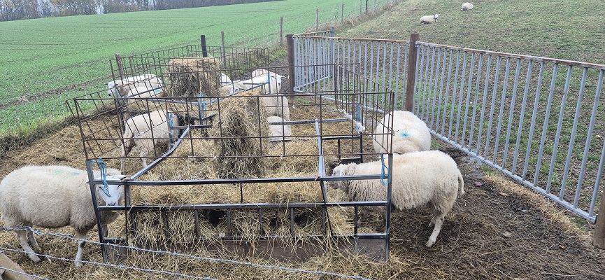 trage-tocht-geleen-18 Wandeling over Trage Toch Geleen