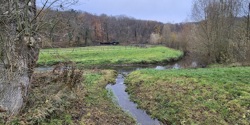 Wandeling over Trage Toch Geleen bij de Geleenbeek