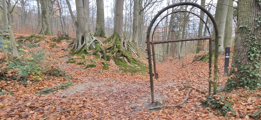 Wandeling over Trage Toch Geleen in het Stammenderbos