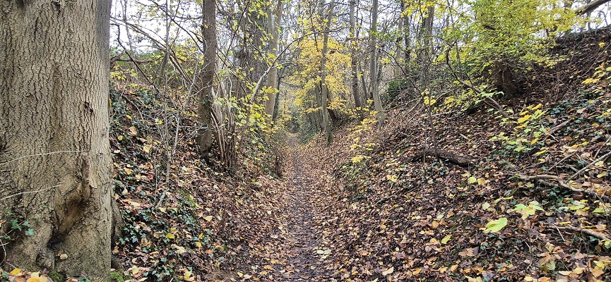 Wandeling over Trage Toch Geleen in het Danikerbos