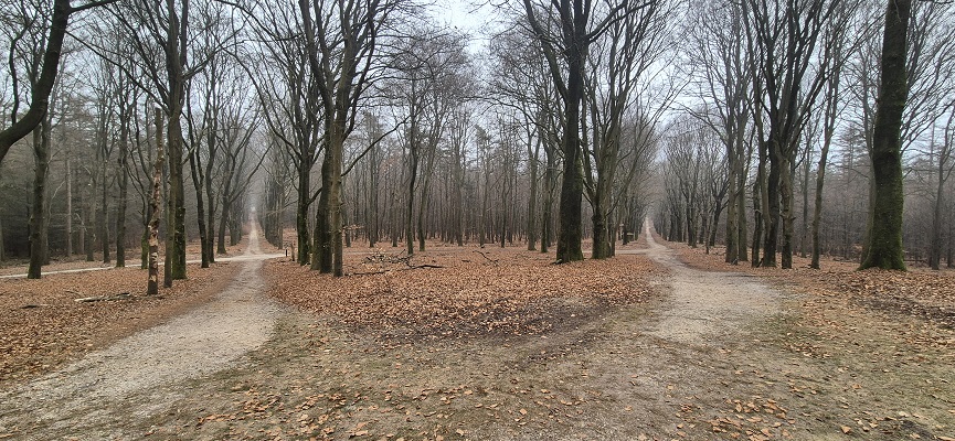 Wandeling over Trage Tocht Hof te Dieren bij de Carolinaberg