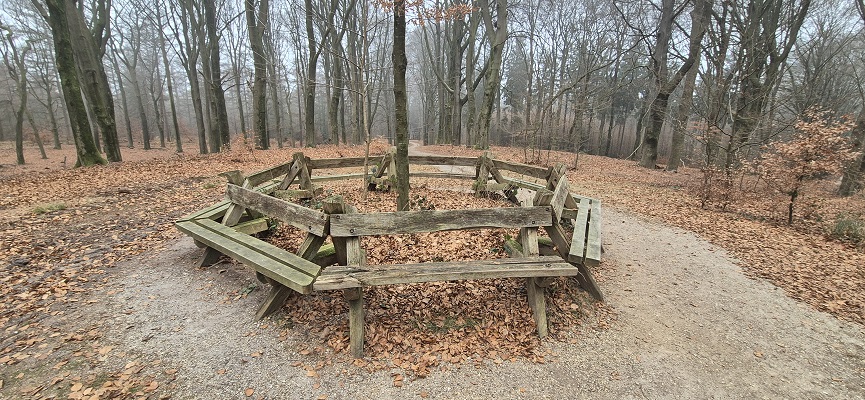 Wandeling over Trage Tocht Hof te Dieren bij de Prins Willemberg