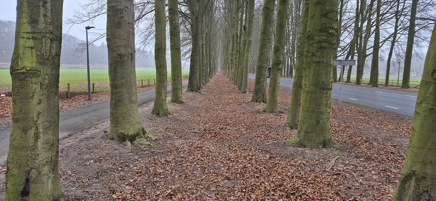 Wandeling over Trage Tocht Hof te Dieren bij de Prins Willemberg
