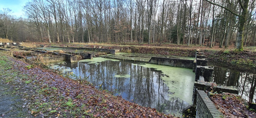 Wandeling over Trage Tocht Marknesse in het Waterloopbos