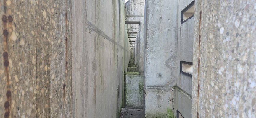 Wandeling over Trage Tocht Marknesse in het Waterloopbos