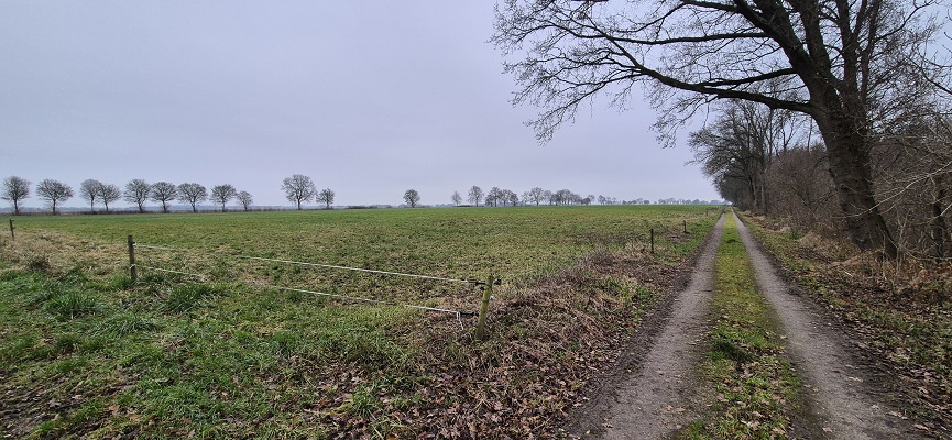 trage-tocht-schokland-12 Wandeling over Trage Tocht Schokland