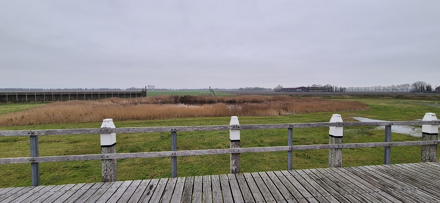 Wandeling over Trage Tocht Schokland bij de oude voormalige haven