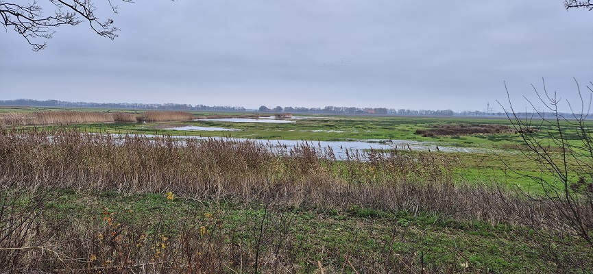 trage-tocht-schokland-27 Wandeling over Trage Tocht Schokland