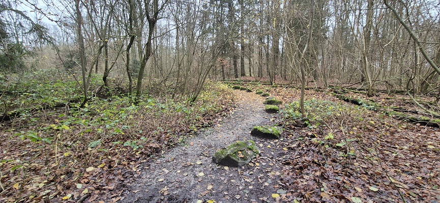 trage-tocht-schokland-9 Wandeling over Trage Tocht Schokland in het Schokkerbos
