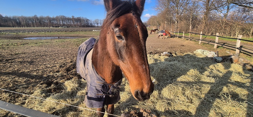 Wandeling over Trage Tocht Sint-Odiliënberg