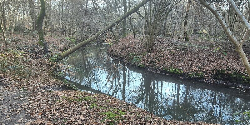 Wandeling over Trage Tocht Sint-Odiliënberg bij de Vlootbeek