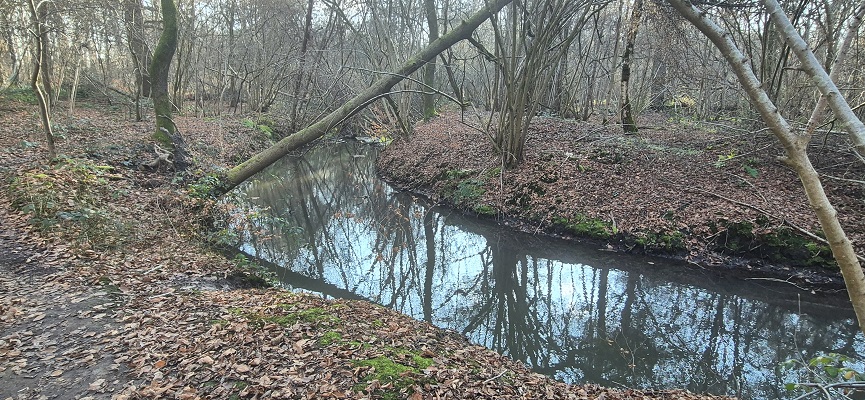 Wandeling over Trage Tocht Sint-Odiliënberg bij de Vlootbeek
