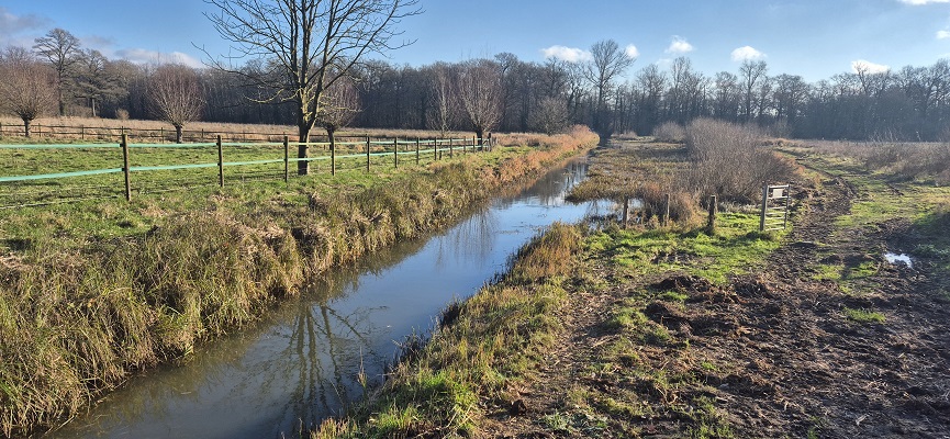 Wandeling over Trage Tocht Sint-Odiliënberg bij de Vlootbeek