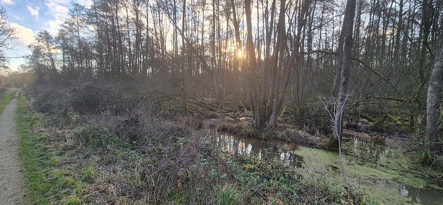 Wandeling over Trage Tocht Sint-Odiliënberg bij Hoosden