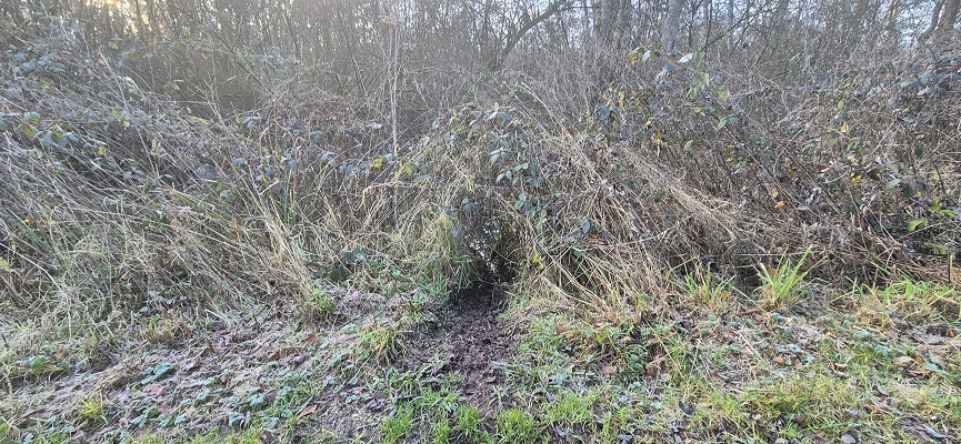 Wandeling over Trage Tocht Sint-Odiliënberg bij Hoosden