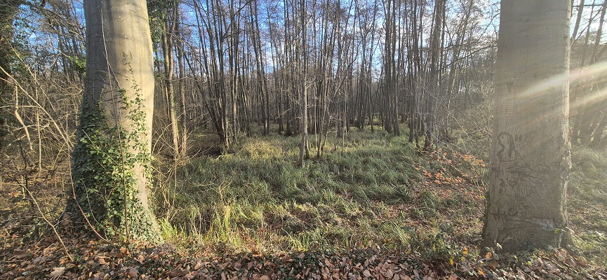 Wandeling over Trage Tocht Sint-Odiliënberg bij Hoosden