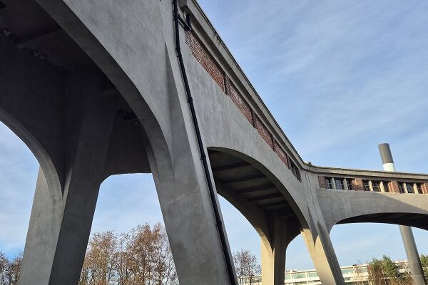 Wandeling in De Hoge Kempen in het Thorpark