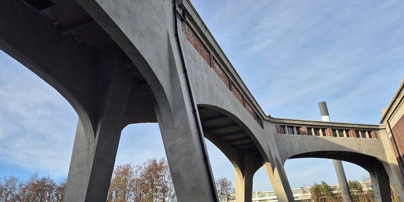 Wandeling in De Hoge Kempen in het Thorpark