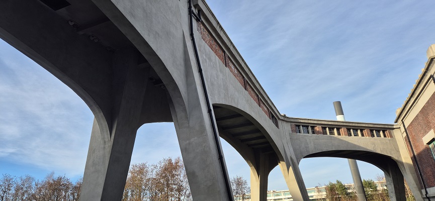 Wandeling in De Hoge Kempen in het Thorpark