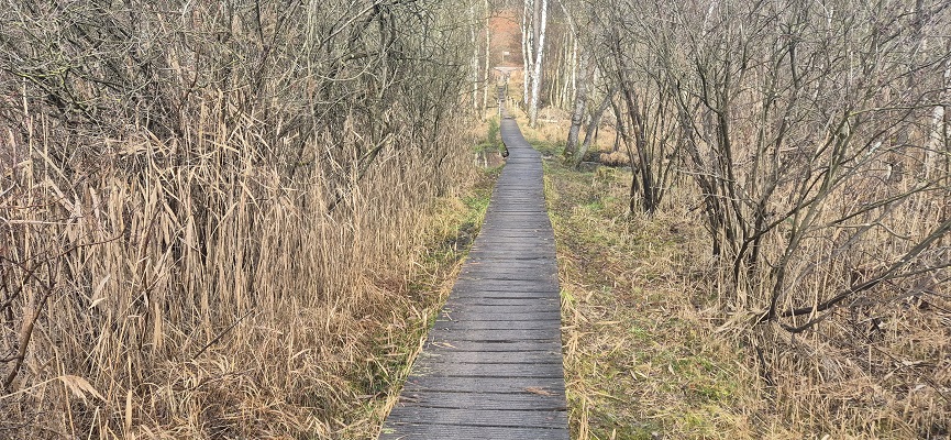hoge-kempen-vallei-van-de-ziepbeek-14 Wandeling in De Hoge Kempen in de Vallei van de Ziepbeek