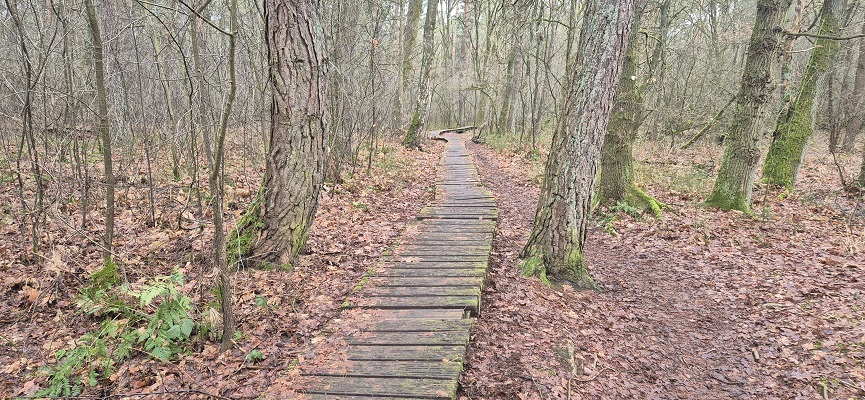 hoge-kempen-vallei-van-de-ziepbeek-2 Wandeling in De Hoge Kempen in de Vallei van de Ziepbeek