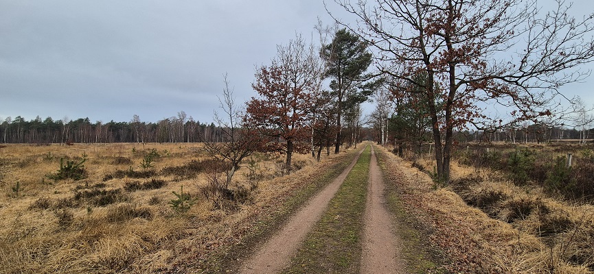 Wandeling in De Hoge Kempen in de Vallei van de Ziepbeek