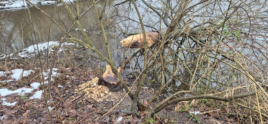 Rondje Weeze bij de Niers