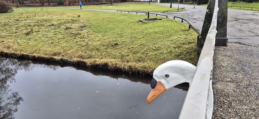 Wandeling over Trage Tocht Arnhem Noord in park Sonsbeek