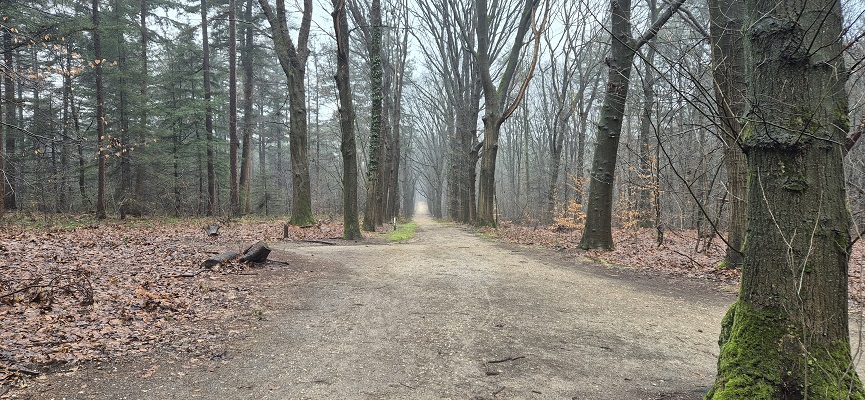 Wandeling over Trage Tocht Arnhem Noord in Schaarsbergen Zuid