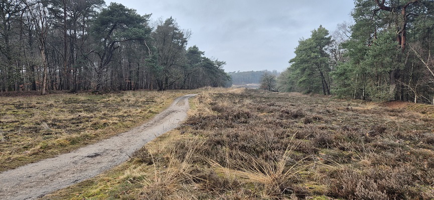 Wandeling over Trage Tocht Arnhem Noord bij de Schapendrift