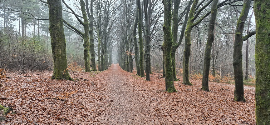Wandeling over Trage Tocht Arnhem Noord bij de Schapendrift op landgoed Lichtenbeek