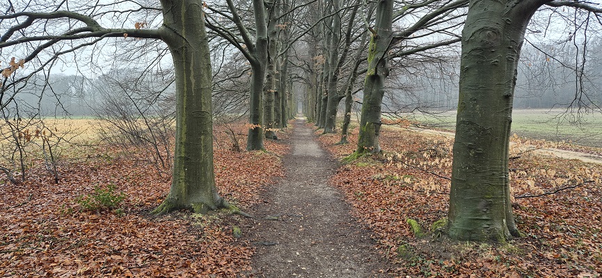 Wandeling over Trage Tocht Arnhem Noord bij de Schapendrift op landgoed Lichtenbeek