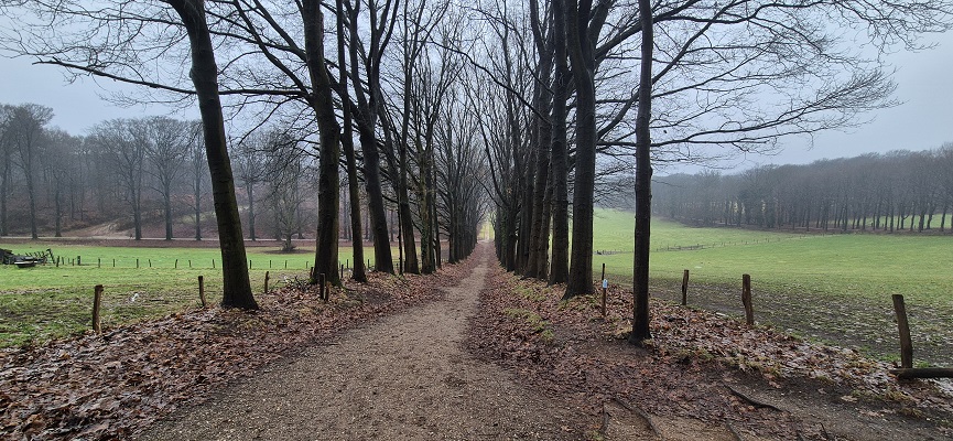 Wandeling over Trage Tocht Arnhem Noord bij de Schapendrift op landgoed Lichtenbeek