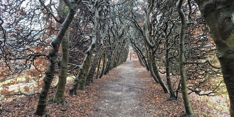 Wandeling over Trage Tocht Arnhem Noord bij de Schapendrift bij de berceau op landgoed Mariëndaal