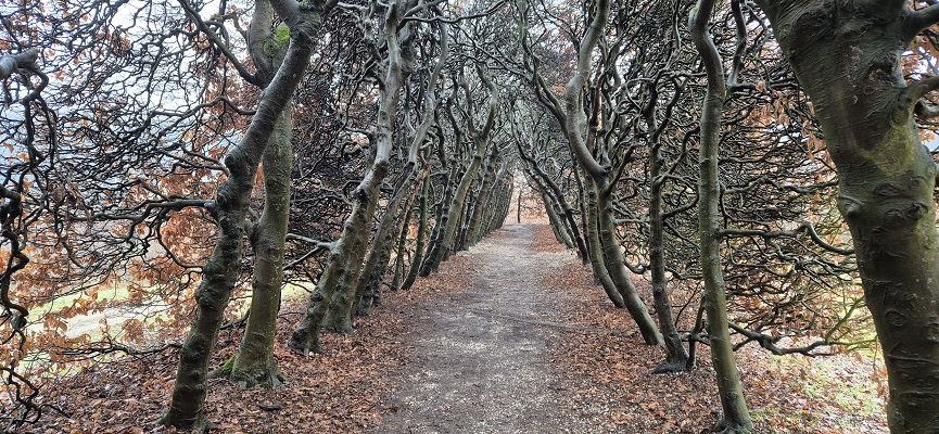 Wandeling over Trage Tocht Arnhem Noord bij de Schapendrift bij de berceau op landgoed Mariëndaal