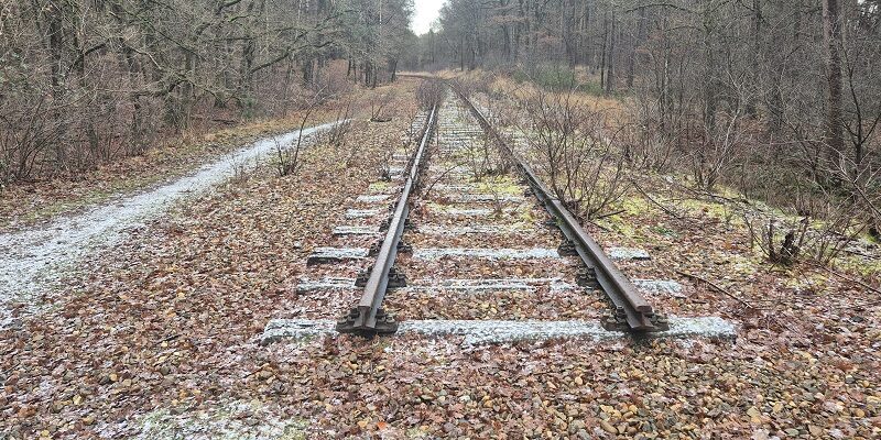 Wandeling over Trage Tocht Herkenbosch bij de IJzeren Rijn