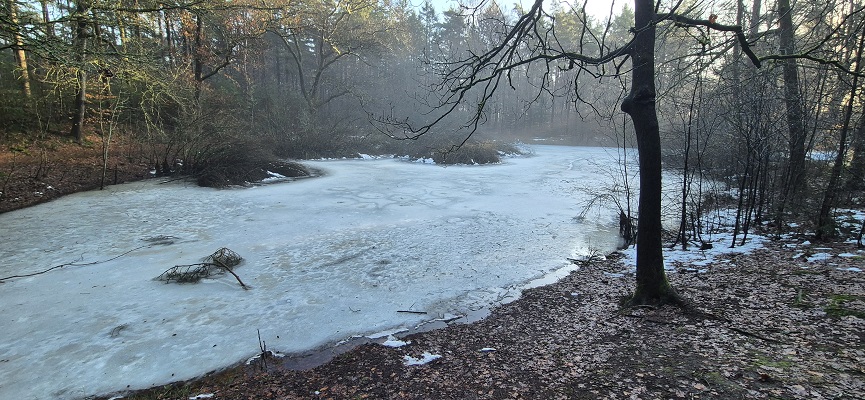 Wandeling over Trage Tocht Palmstad bij landgoed Beukenrode