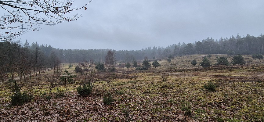 Wandeling over Trage Tocht Amerongen Zuylestein