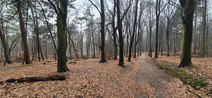 Wandeling over Trage Tocht Amerongen Zuylestein