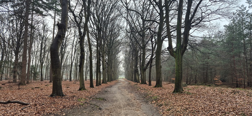 Wandeling over Trage Tocht Amerongen Zuylestein